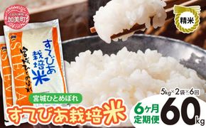 【 6回 定期便 】精米 令和6年度産 すてびあ栽培米 宮城県産 ひとめぼれ 計 60kg 10kg （ 5kg × 2袋 ）× 6回 ｜ 菅原精米工業 宮城県 加美町 sw00002-r601-10