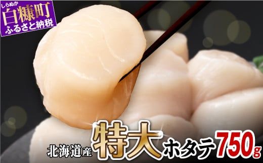 オホーツク産お刺身用ホタテ特大サイズ　 750g (250g×3) ホタテ ほたて 訳あり 大粒 訳ありほたて 訳ありホタテ ほたて貝柱 ホタテ貝柱 北海道産ほたて 北海道産ホタテ 海鮮 特大 大粒ほ