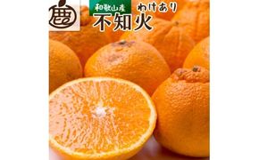 【先行予約】家庭用不知火5kg+250g（傷み補償分）＜2月より発送＞/ みかん ミカン 有田みかん 柑橘 フルーツ 果物 和歌山 オレンジ【ikd163C】