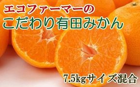 エコファーマーのこだわり有田みかん約7.5kg（サイズ混合）※2024年11月中旬～2025年1月中旬頃に順次発送【tec835】