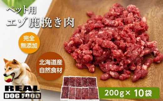 ykC]szybgp G]҂ 200×10܁REAL DOG FOOD  ]s kC ybg ybgt[h  J  񂿂  G] _Y020-0632