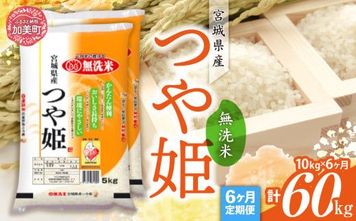 【定期便6回】令和6年産 宮城県産 つや姫 無洗米 10kg(5kg×2）×6回 [カメイ 宮城県 加美町 ] お米 こめ コメ 精米 白米 | km00014-r6-10kg-6