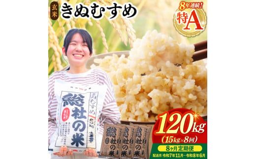 【令和7年産米】特Aきぬむすめ【玄米】120kg 定期便（15kg×8回）岡山県総社市〔令和7年11月から令和8年6月まで毎月配送〕25-192-001