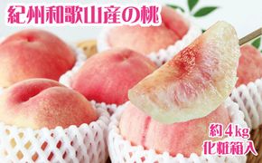 紀州和歌山産の桃　約4kg　化粧箱入 ※2025年6月下旬～2025年8月上旬頃順次発送（お届け日指定不可）【uot723A】