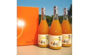 有田みかんの和α（なごみアルファ）720ml×3本【kjk110】