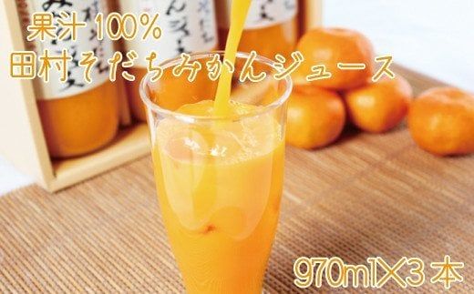 果汁100%　田村そだちみかんジュース　970ml×3本 【uot203】