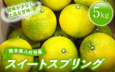 【先行予約】 熊本県八代市産 スイートスプリング 約5kg 柑橘 【2024年12月上旬より順次発送】