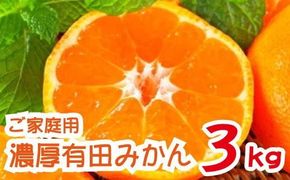 【2024年11月発送】農園直送！完熟有田みかん　約3kg