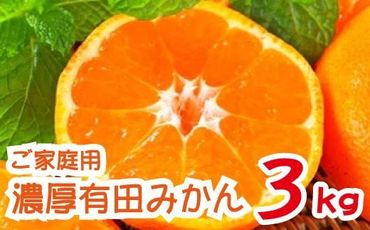 【2024年11月発送】農園直送！完熟有田みかん　約3kg