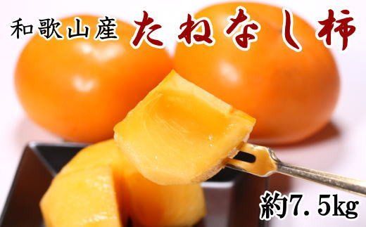 【秋の味覚】和歌山産のたねなし柿約7.5kg(L～4Lサイズおまかせ)　※2024年10月上旬～11月上旬頃に順次発送【tec402A】