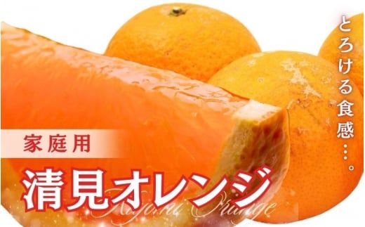 [2月より発送]家庭用 清見オレンジ3.5kg+105g(傷み保証分)[光センサー食頃出荷][樹上完熟きよみオレンジ・清見タンゴール・清美][わけあり・訳あり]※北海道・沖縄・離島への配送不可[ikd