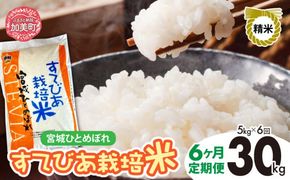 【 6回 定期便 】精米 令和6年度産 すてびあ栽培米 宮城県産 ひとめぼれ 30kg （ 5kg × 6回 ）｜ 菅原精米工業 宮城県 加美町 sw00001-r601-5kg-6 ｜  ステビア 