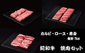 紀和牛 焼肉セット(ロース・カルビ・赤身合計約1kg) 【冷蔵】/ 牛  肉 牛肉 紀和牛 ロース 赤身 カルビ 焼肉 焼き肉 1kg【tnk131-1】