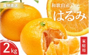 【先行予約】ご家庭用 はるみ 和歌山 有田 S～3Lサイズ 大きさお任せ 2kg【2025年1月下旬～3月下旬までに順次発送予定】/ みかん フルーツ 果物 くだもの 蜜柑 柑橘【ktn049】