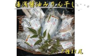 湯浅醤油みりん干し7品種11尾入りの詰め合わせ 【tec202】