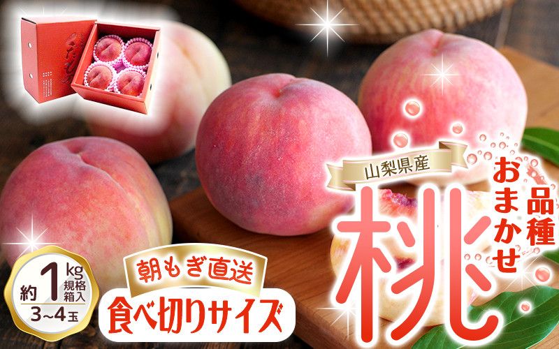 朝もぎ直送!『品種おまかせ桃』3〜4玉 約1kg規格箱入り [高機能共選機使用]選び抜かれた山梨の桃[もも 先行予約]山梨県産 モモ/ フルーツ 果物 くだもの 人気 産地直送/厳選 贈答 贈り物[