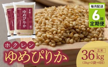 【令和6年産先行受付 2024年10月以降発送】（玄米6Kg）ホクレンゆめぴりか【定期便6回】_Y010-0208