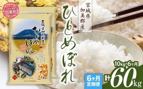 【定期便6回】令和6年産 宮城県加美産 ひとめぼれ 10kg(5kg×2）×6回 [カメイ 宮城県 加美町 ] お米 こめ コメ 精米 白米 | km00013-r6-10kg-6