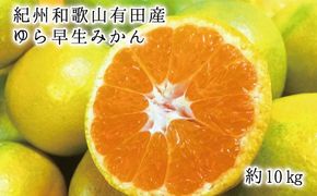 紀州和歌山有田産ゆら早生みかん10kg　※2025年10月上旬頃～2025年10月末頃に順次発送（お届け日指定不可）【uot734】