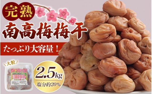 ＼たっぷり2.5kg/ [ 数量限定 ]紀州南高梅 昔ながらの 梅干し 1.25kg×2パック[ ご家庭用 ]/ 梅 うめ ウメ 梅干 完熟 無添加 大容量 和歌山県 北山村 昔ながら 家庭用 白梅 無添加人気 大容量 2.5キロ 大粒 肉 厚 お米 おにぎり 焼酎 梅酒 [njb647]