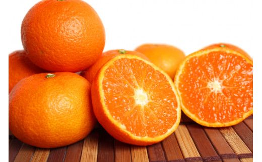 ya̎RnzÔVP(̂₫)@5kgy\z2026N2{`2026N2{ɏ\(͂ws)yuot761z