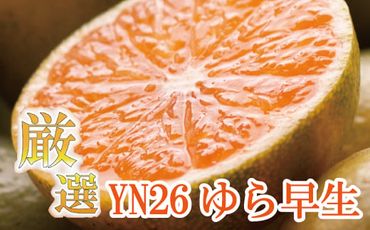 厳選　極早生有田みかん5kg+150g（傷み補償分）【YN26・ゆら早生】＜9月中旬より順次発送予定＞【ikd111B】