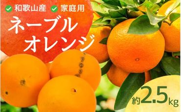 ＜2月より発送＞家庭用 ネーブルオレンジ2.5kg+75g（傷み補償分）【訳あり・わけあり】【光センサー選別】 ※北海道・沖縄・離島への配送不可【ikd202】