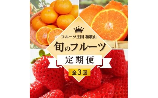 フルーツ 定期便 [全3回定期便]フルーツ大国和歌山よりお届け!旬のフルーツ定期便B[田村みかん・まりひめ・紀州デコ] / フルーツ 果物 みかん いちご 旬 定期便 [tkb351]