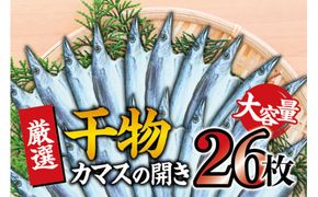 干物セット 大容量でお届け カマスの開き26枚セット 干物 ひもの カマス 家庭用 定番【sio109】