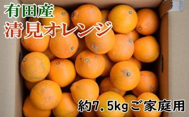 【産直】有田産清見オレンジ 約7.5kg（訳あり家庭用サイズおまかせまたは混合）※2025年2月上旬～3月下旬頃順次発送予定（日付指定不可）【tec867A】
