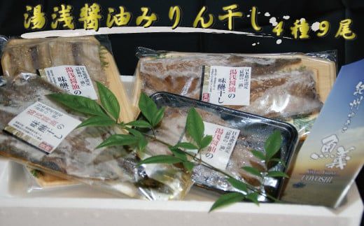 和歌山の近海でとれた新鮮魚の湯浅醤油みりん干し4品種9尾入りの詰め合わせ【tec200A】