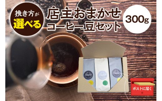 【豆】店主おまかせ 挽き立てコーヒー豆3種類セット(100g×3種類）【hgo003-d】