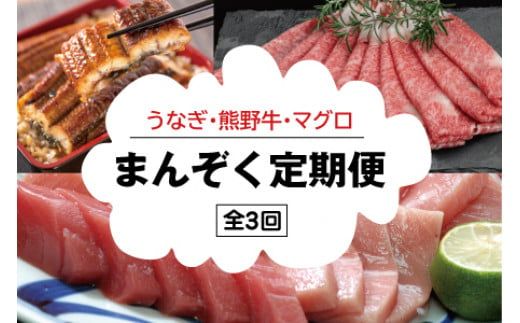 [3か月定期便]まんぞく定期便!うなぎ･高級和牛･マグロ 人気返礼品を3回お届け♪[tkb104]