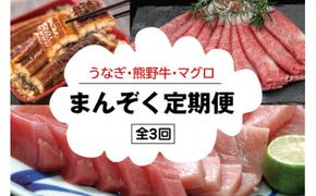 【3か月定期便】まんぞく定期便！うなぎ･高級和牛･マグロ　人気返礼品を3回お届け♪【tkb104】