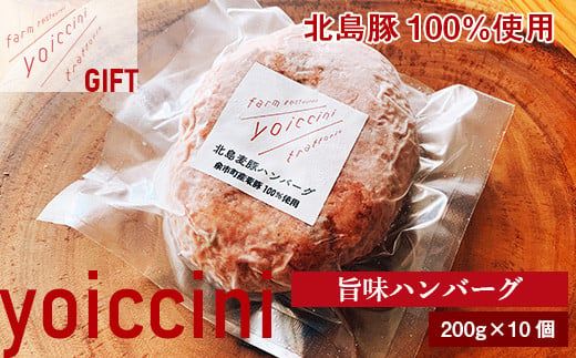 ギフトに！北島豚100％使用！ヨイッチーニ旨味ハンバーグ200g×10個〈ヨイッチーニ〉_Y020-0146