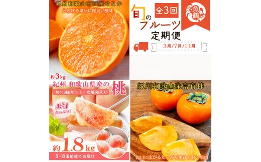 ya̎RV{szyS3zIBa̎RY{̃t[cZbg(ƂEExL`)  / ʕ t[c ZgJ k  ʕ JL  `    ytkb392z