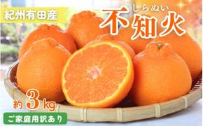 【ご家庭用訳あり】紀州有田産不知火(しらぬひ) 約3kg 【予約】※2026年2月中旬頃〜2026年3月中旬頃に順次発送予定(お届け日指定不可)【uot830A】