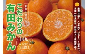 ＼光センサー選別／ 【農家直送】有田みかん　約10kg  大玉3L以上　有機質肥料100%　※2024年12月初旬～12月末に順次発送(お届け日指定不可)【nuk139D】