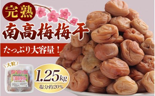 完熟南高梅 白梅干し 1.25kg 塩分約20％ 完全無添加 サイズ混合 ご家庭用/梅 うめ ウメ 梅干し 梅干 南高梅 白干 白干し 白梅 白梅干し 完熟 大粒 無添加 大容量 ご自宅用 和歌山県 北山村【njb647-1】