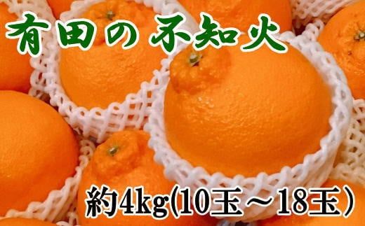 【濃厚】有田の不知火約4kg（10玉～18玉おまかせ） ※2025年2月中旬～2025年3月上旬頃に順次発送予定（日付指定不可）【tec862】