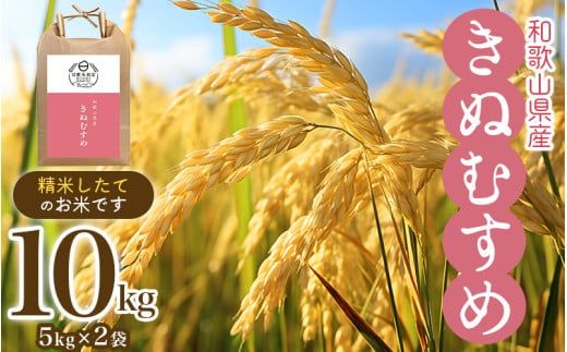 和歌山県産の お米 きぬむすめ 10kg (5kg×2袋) 〈令和6年度産〉 産地直送 / 米 こめ ご飯 ごはん 白米 国産 和歌山県産 小分け【hio104A】