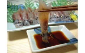 【先行予約】【ほたるいか 小分け 250g×8パック 2kg 鍋用だし付 香住産 冷凍】令和8年3月下旬以降順次発送予定 刺身でも食べられる美味しいホタルイカ 兵庫県はほたるいか水揚げ日本一！ ホタルイカ いか 生ほたるいか 便利 日本海 珍味 海鮮 刺し身 生食 しゃぶしゃぶ 醤油漬け お取り寄せ グルメ ギフト 大人気 兵庫県 香美町 香住 宿院商店 33-01