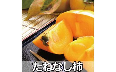 タネなし脱渋甘柿（刀根早生）　3Ｌサイズ28個入7.5kg箱【art021】