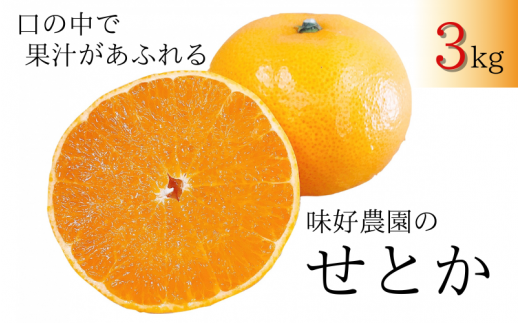 [先行予約・数量限定]地元で大人気の 秀品 せとか 3kg [M〜2Lサイズ混合][2026年3月中旬から2026年3月下旬頃に順次発送][味好農園] /ミカン 蜜柑 柑橘 フルーツ くだもの 果