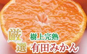 厳選　完熟有田みかん7.5kg+225g（傷み補償分）【光センサー選別】＜11月上旬より順次発送予定＞【ikd020B】