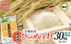 【 6回 定期便 】無洗米 令和6年度産 宮城 ひとめぼれ 計 30kg （ 5kg × 6回 ） ｜ 菅原精米工業 宮城県 加美町 sw00003-r601-5kg-6 ｜ ヒトメボレ 米 コメ お