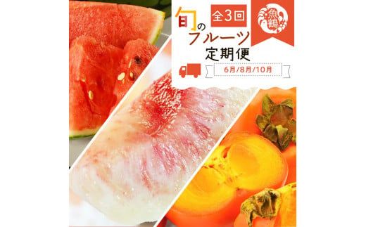 ya̎RnzyS3zIBa̎RY{̃t[c (XCJEEЂ炽ˊ`)ytkb380z