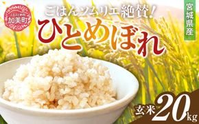  玄米 令和6年産 宮城県加美町産ひとめぼれ 20kg [菅原商店 宮城県 加美町]  | sg00002-r601-20kg