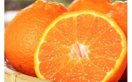 ya̎RV{szʓvv@nIBfR(sm) 5kg@2026N2{?2026N3{yuot707Az