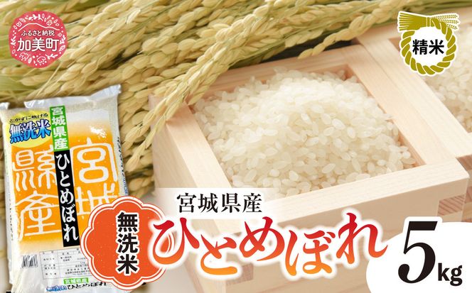 新米 無洗米 令和6年度産 宮城 ひとめぼれ 5kg  [菅原精米工業 宮城県 加美町 ]  | sw00003-r6-5kg